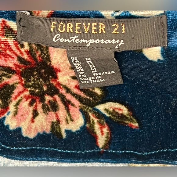 Forever 21 - Velvet Dress - Picture 6 of 6